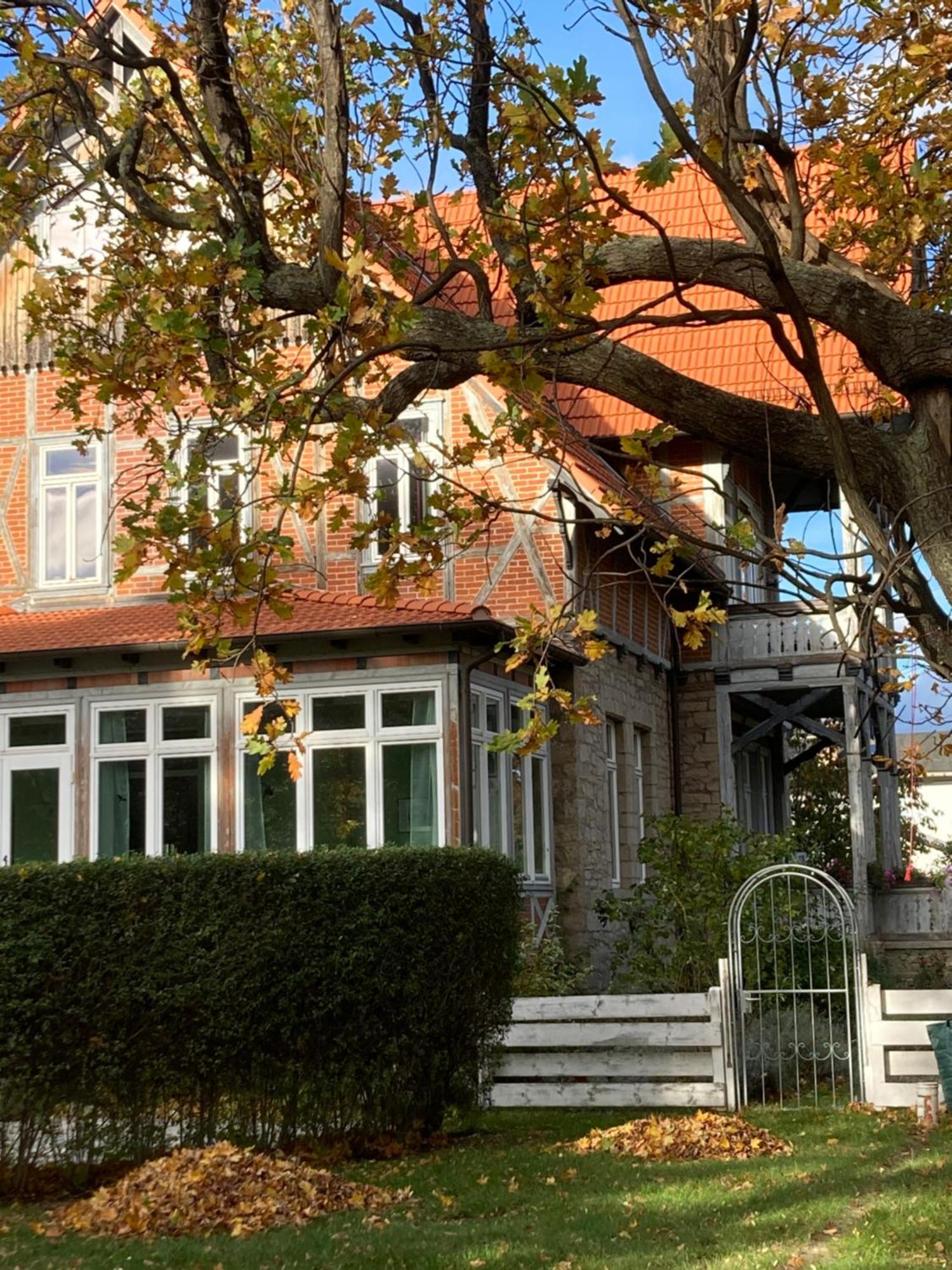 Gaestehaus Musestieg Thale Buitenkant foto